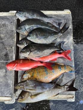 アップロードファイル 23,882 byte