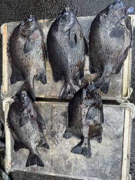 アップロードファイル 27,887 byte