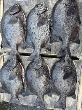 アップロードファイル 28,710 byte