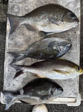 アップロードファイル 22,180 byte