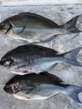 アップロードファイル 21,106 byte