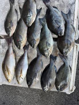 アップロードファイル 24,615 byte