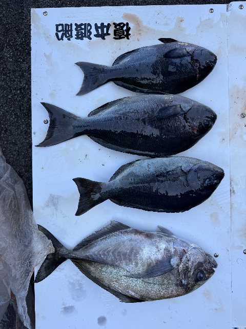 アップロードファイル 81,648 byte