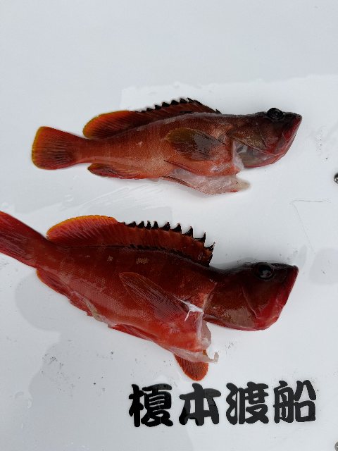 アップロードファイル 44,751 byte