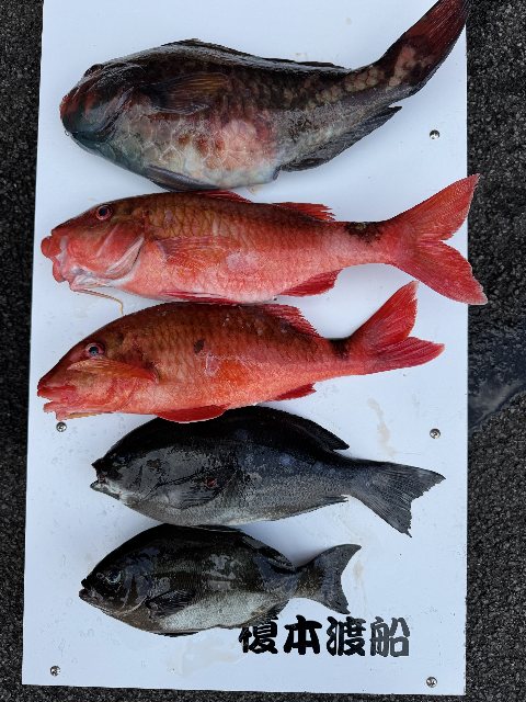 アップロードファイル 89,280 byte