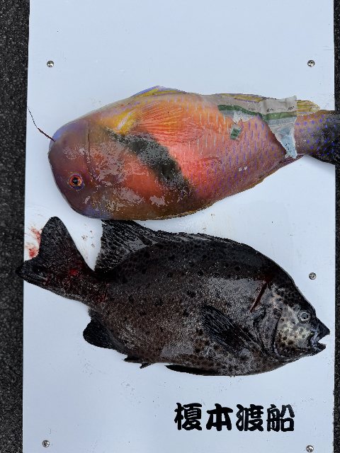 アップロードファイル 74,202 byte