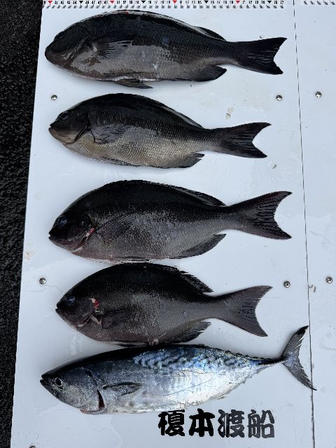 アップロードファイル 78,304 byte