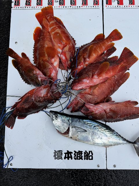 アップロードファイル 94,022 byte