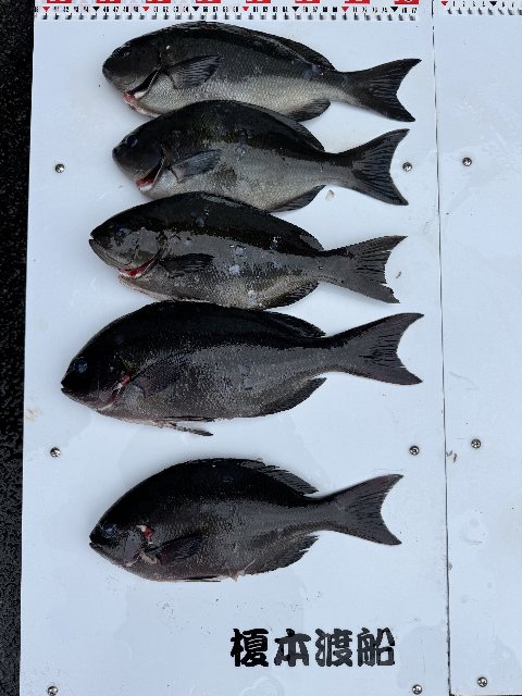 アップロードファイル 70,127 byte