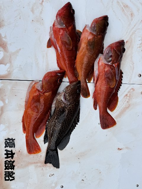 アップロードファイル 67,304 byte