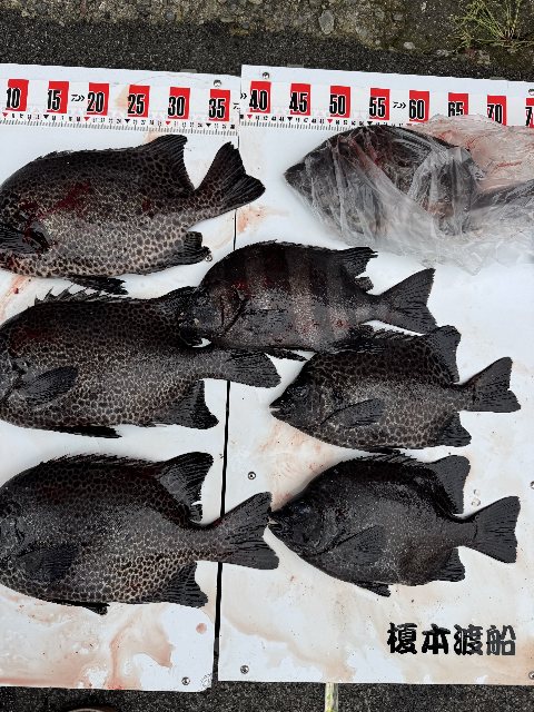 アップロードファイル 114,176 byte