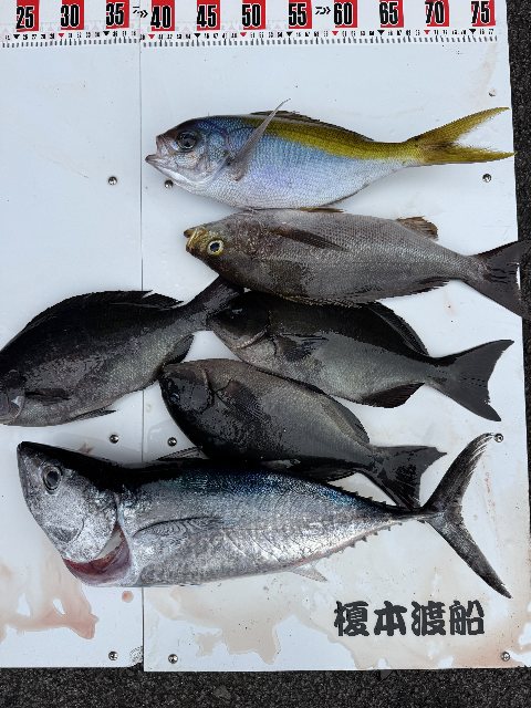 アップロードファイル 89,550 byte