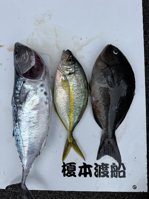 アップロードファイル 68,983 byte