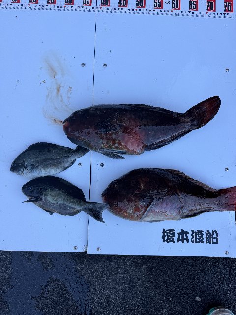 アップロードファイル 67,950 byte