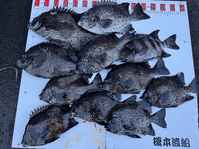 アップロードファイル 123,503 byte