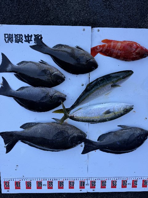 アップロードファイル 82,715 byte