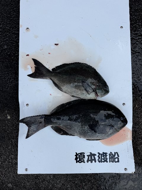 アップロードファイル 69,082 byte