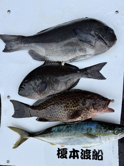 アップロードファイル 77,390 byte