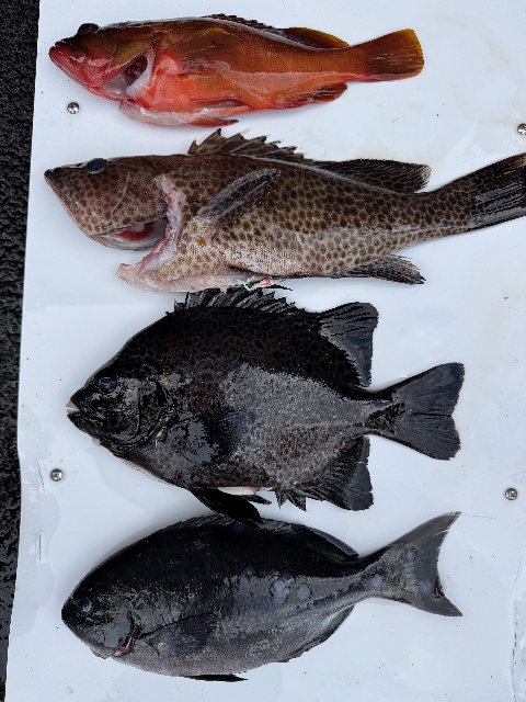 アップロードファイル 79,683 byte