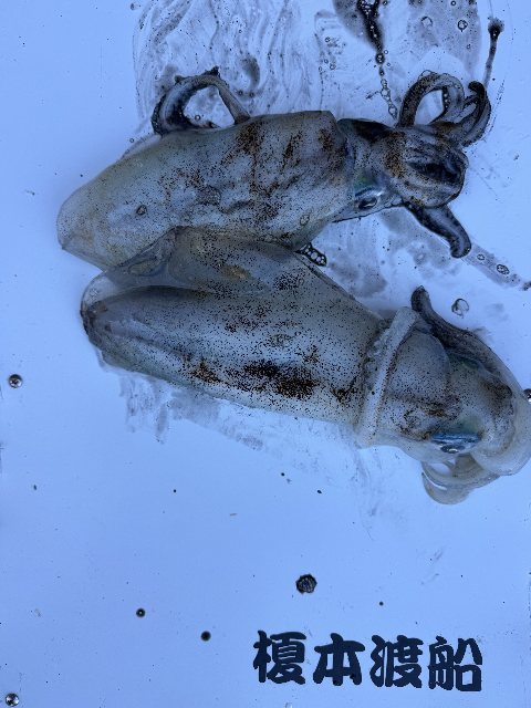 アップロードファイル 67,649 byte