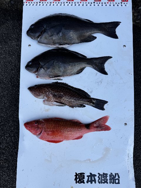 アップロードファイル 76,688 byte