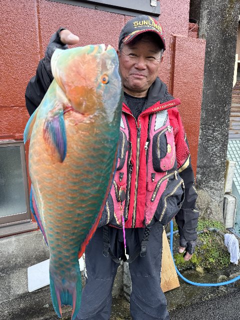 アップロードファイル 115,382 byte