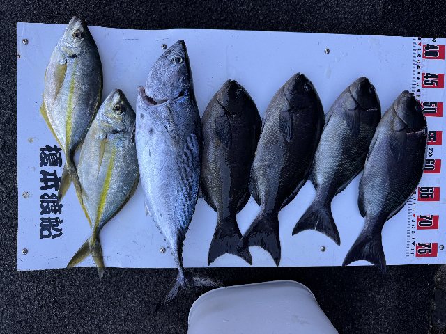 アップロードファイル 92,712 byte