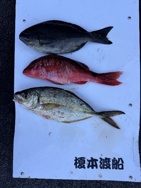 アップロードファイル 64,463 byte