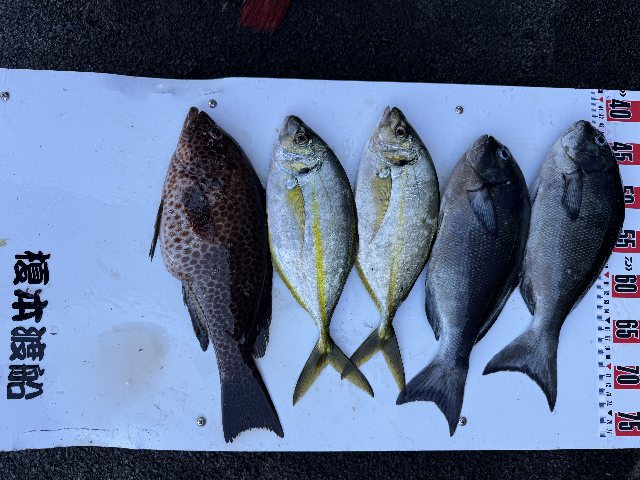 アップロードファイル 84,140 byte